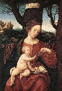 HERRERA, Francisco de, the Elder Madonna with Grape oil painting
